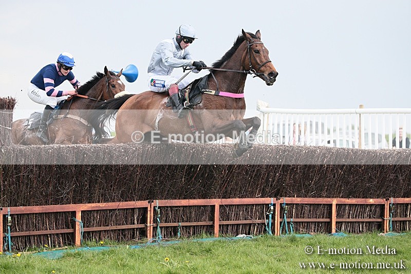 PtP 210418 365 - South & West Wilts Point-to-Point Larkhill 21/04/18