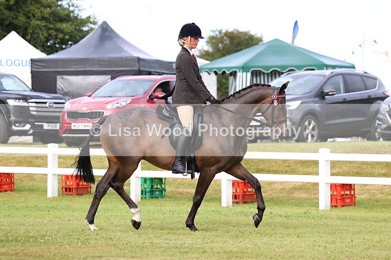 3E7A8001 - Class 2: Rising Star Large Hack/Riding Horse