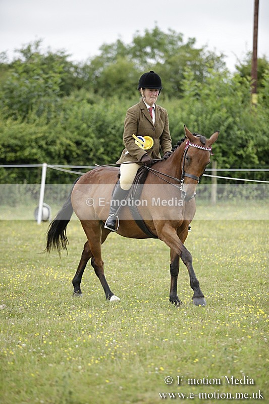 BVR160717-1067 - Ring 1 BVRC Show 16/07/17