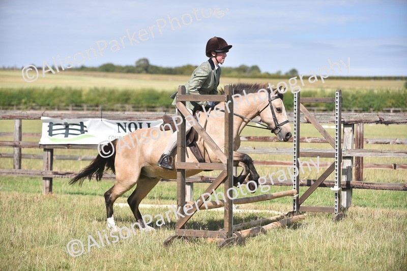 20260906-2620 - Class 12 - 14.2hh and Under