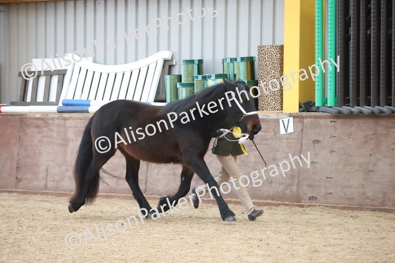 20251109-0993 - Class 26 - 2 and 4 Year Olds