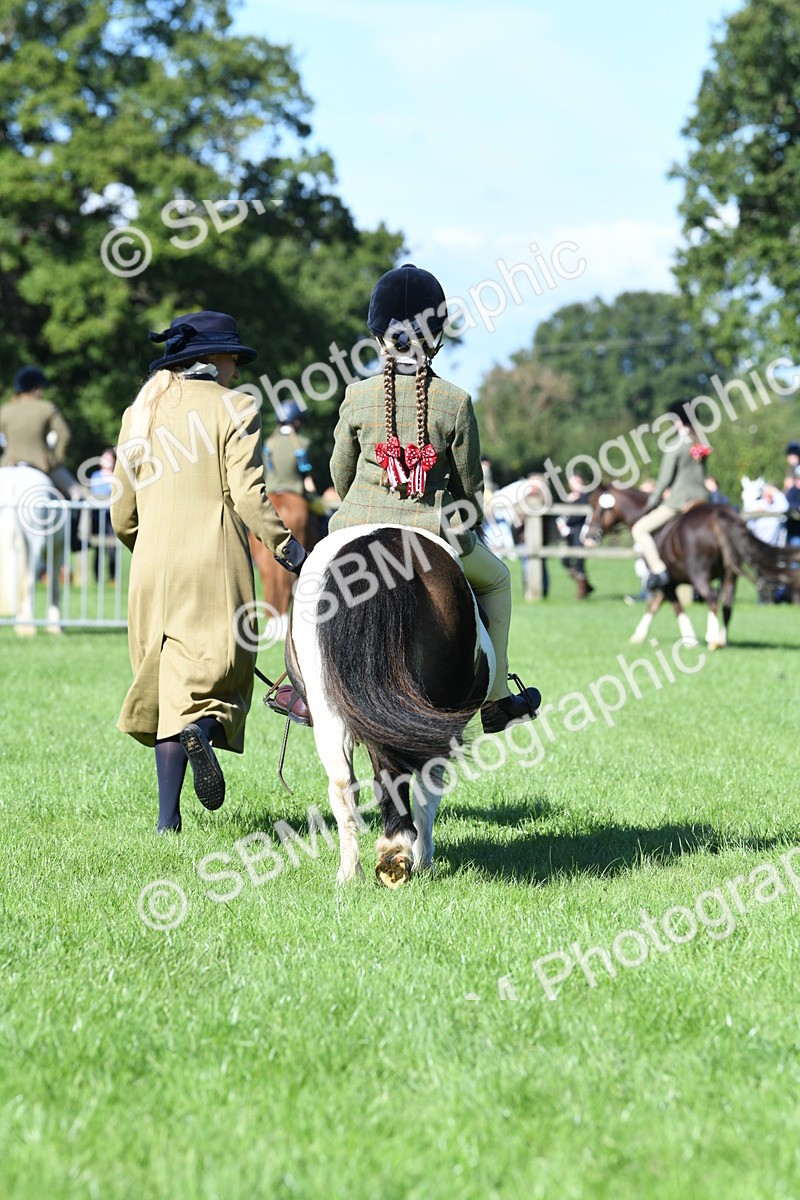 SBM_39625 - S18 - Novice & Newcomers Lead Rein Pony