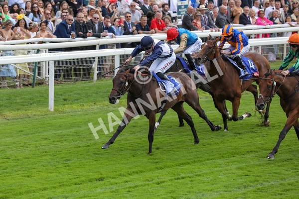 220824-Race 1-Celandine-7605 - Race 1 1.50pm Sky Bet Lowther Stakes