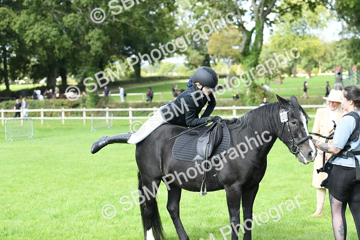 SBM_46847 - S12 - Family Horse & Pony