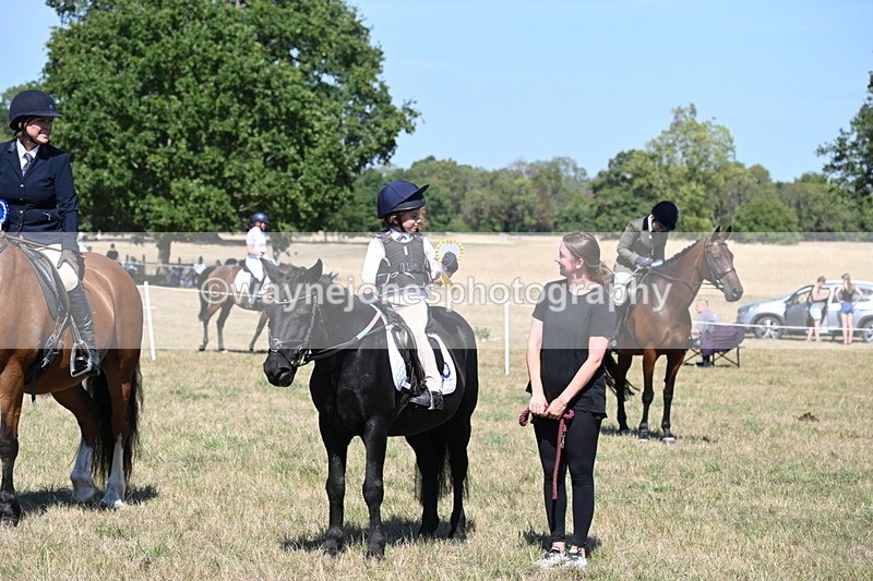 WJ6_8499 - Class 37a Best Loan Pony Ridden