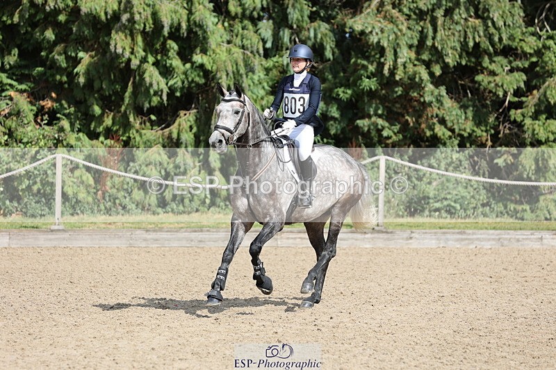 250803A-160426-17302 - R-803-Harriet.Tilling-DAROG'S.DANCER