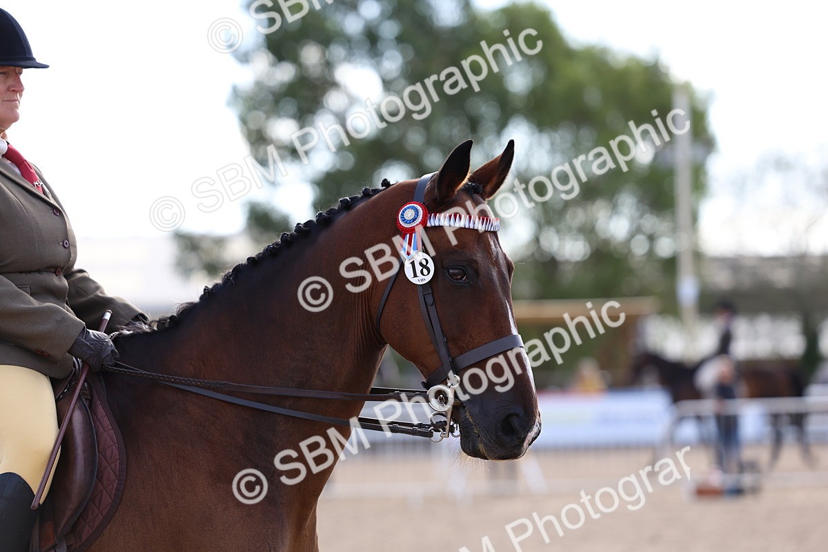 SBM_09148 - Class 303 - Ridden Pure Bred Horse Pony