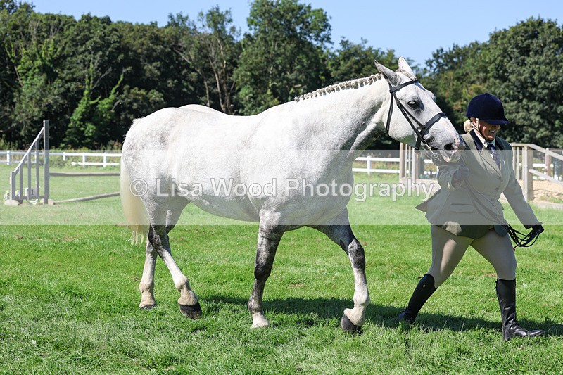 3E7A8487 - Class 4: Novice working Hunter