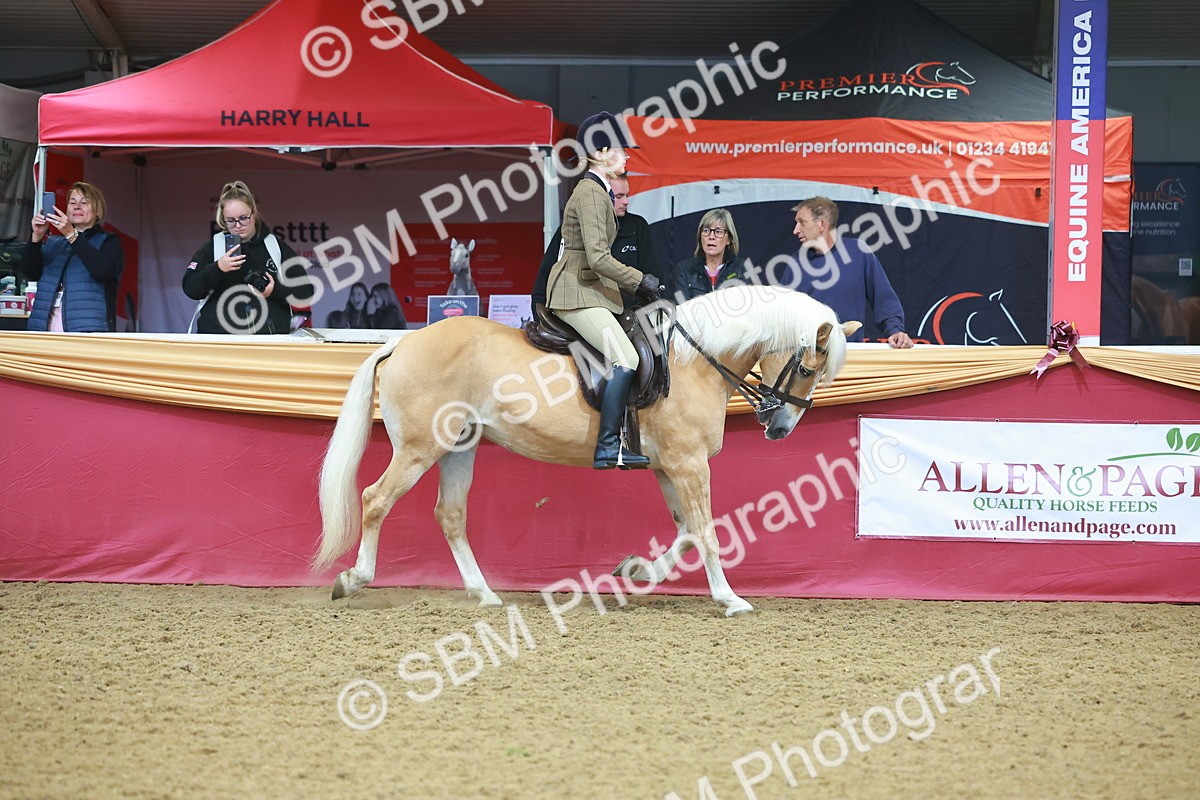 SBM_09621 - Class 102 - HOYS Veteran Qualifier - Ridden Veteran
