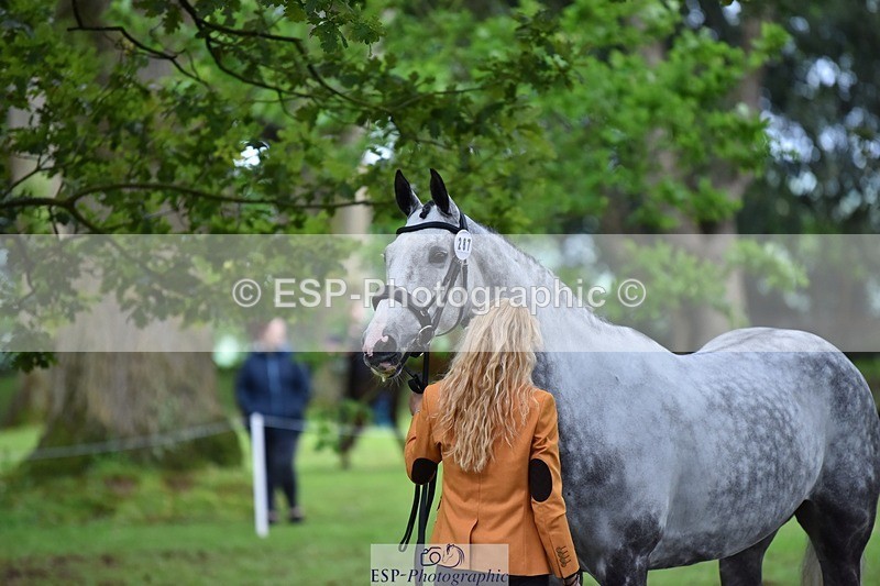 240522-172702-01613 - 287-HEY_DIXIE-Sammy_Harfield