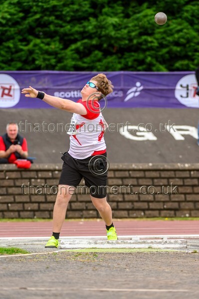 Sen25SAT-921437 - Field Male Set Two