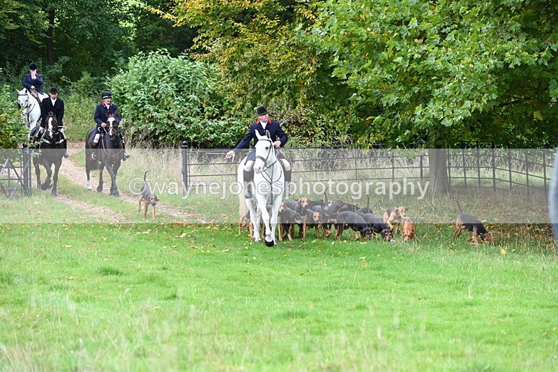 WJ6_0048 - Camera 2 Meet