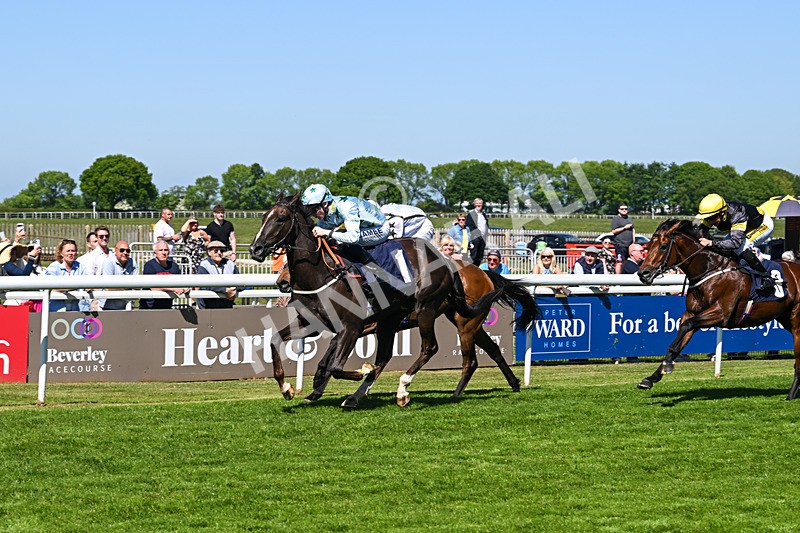 130525-Race 2-Bust A Moon-9611 - Race 2