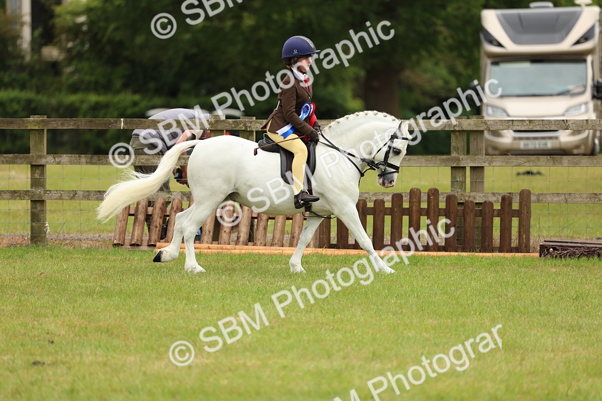 SBM_10454 - Class 44-45 - LIHS BSPS Open Nursery and Cradle Stakes