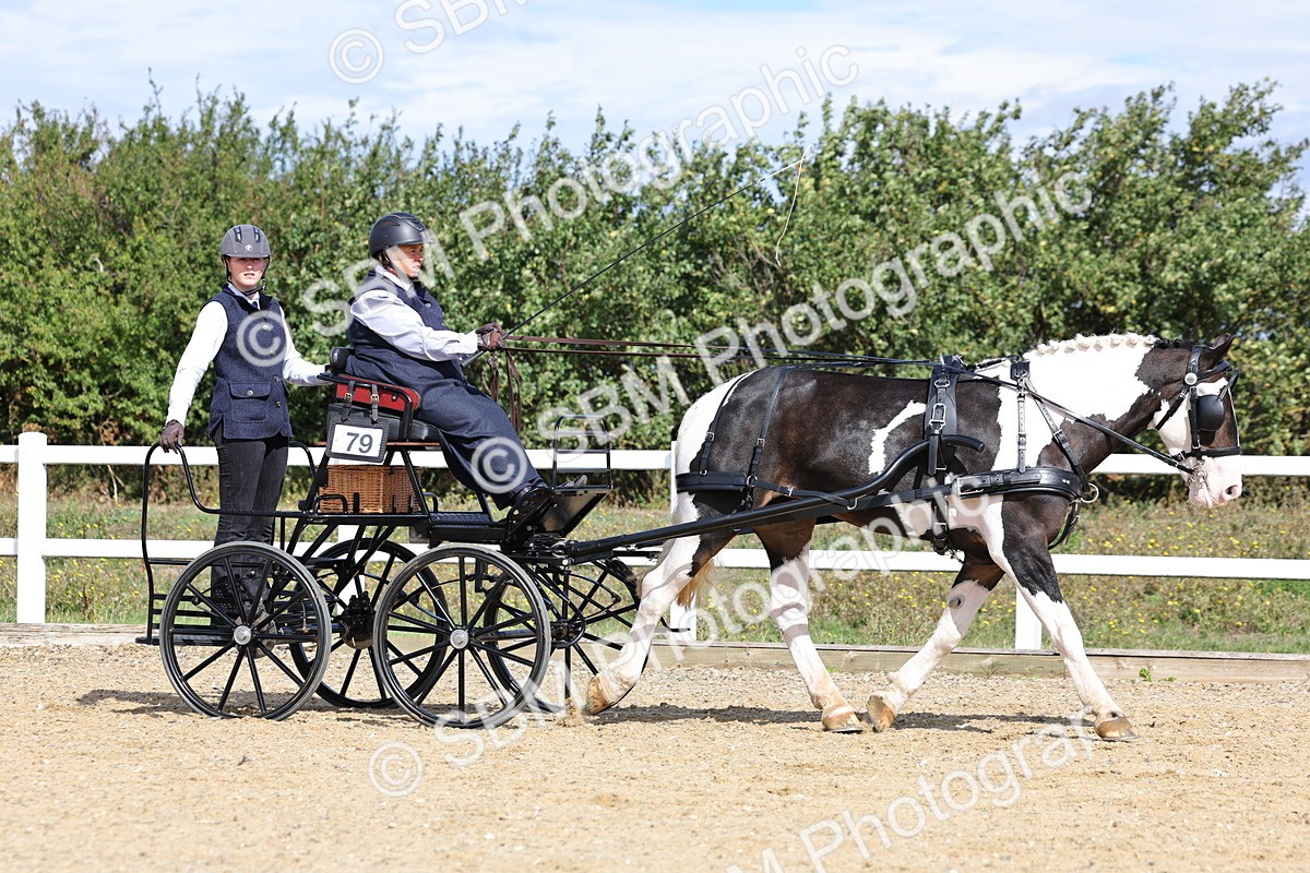 SBM_000907 - Class 8 - Novice Horse or Pony to any vehicle
