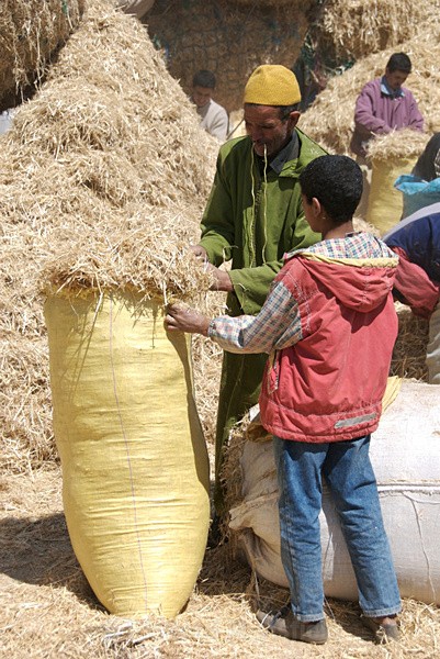  - Marrakech