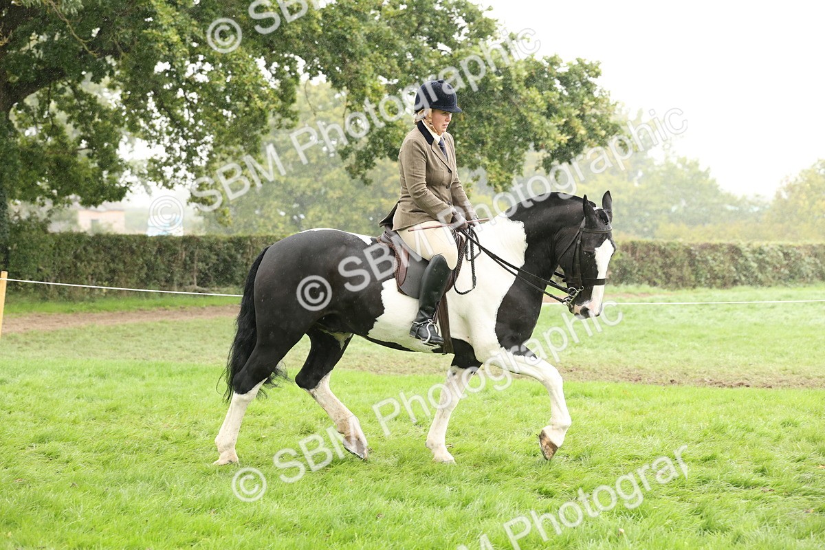 SBM_69788 - S69 - Show Cob Ridden