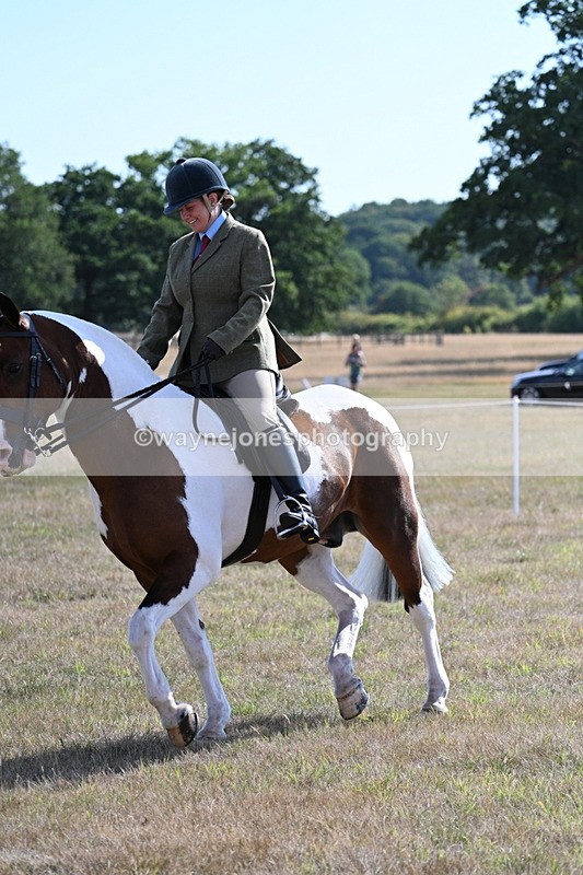 WJ7_2839 - Class 8 Ridden Tack & Turnout