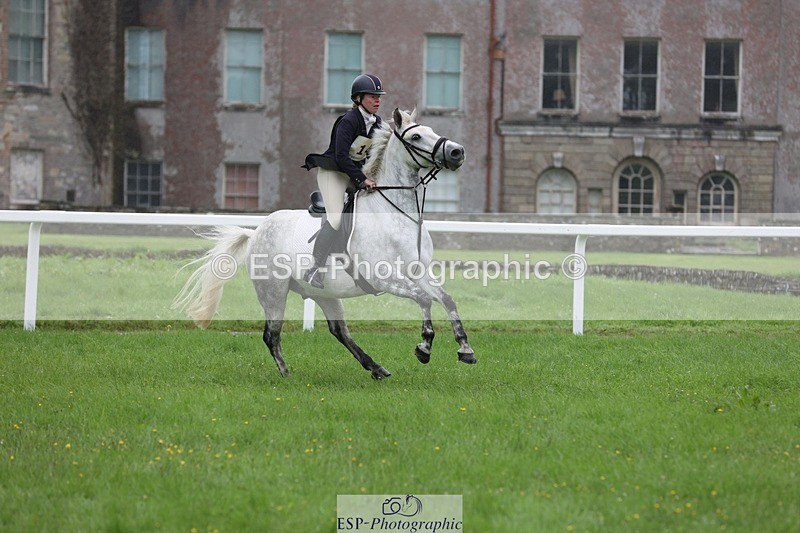 230805-105653-00575 - SJ 10 to 11