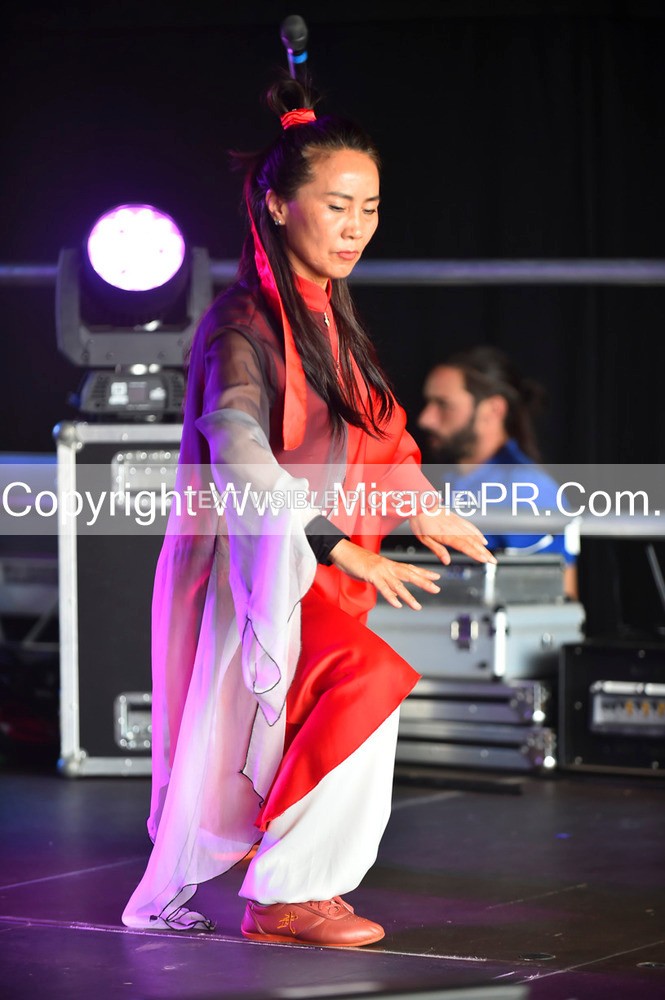 SH4_1452 - Tai Chi with Lisa Kay.