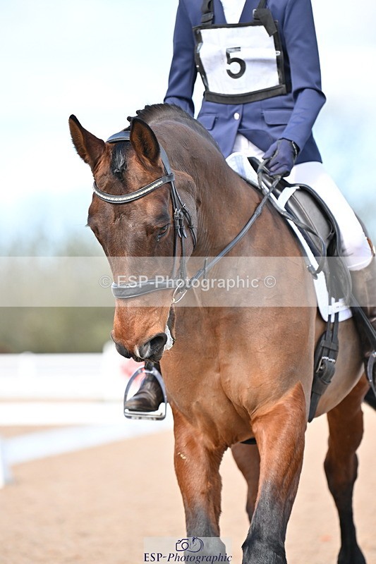 240324A-134308-03473 - Novice 28, 13.00 to 14.00