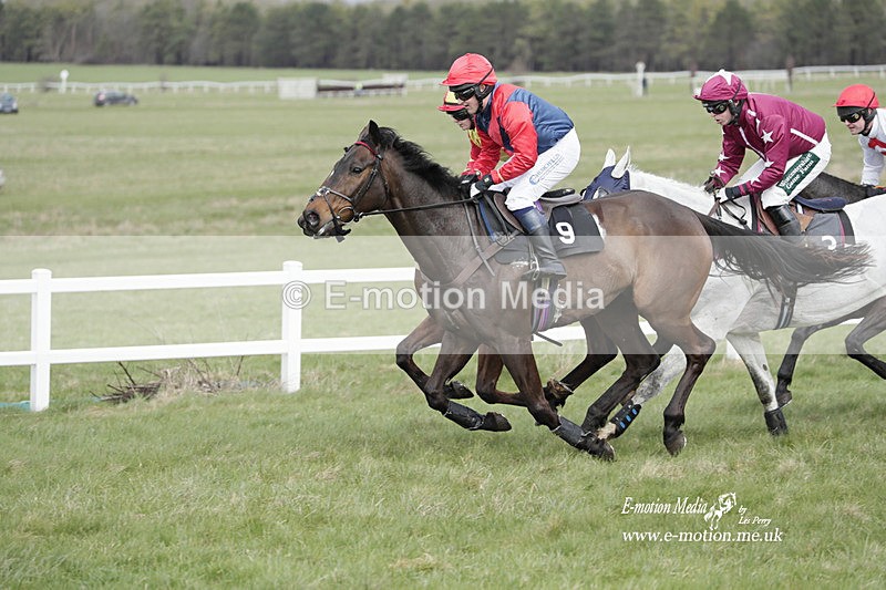 PtP 260323 0390 - New Forest Hounds Point-to-Point Larkhill 26/03/23