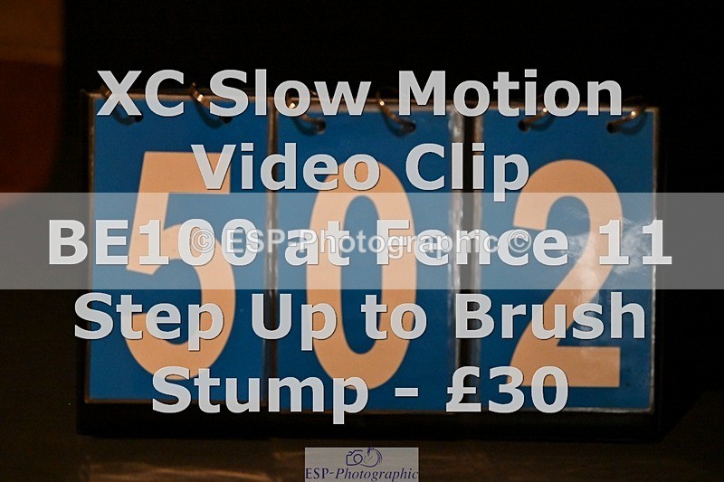 ESP_502 - 502-Alison.Stewart-RICO.III