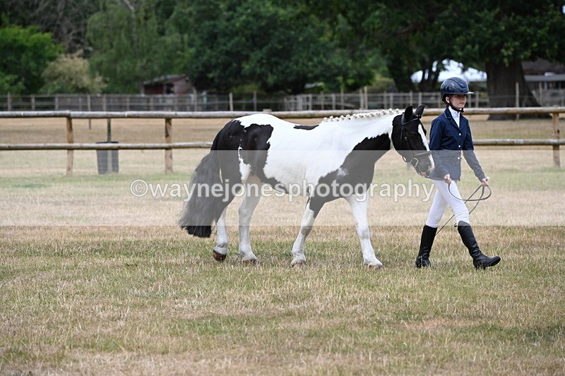 WJ6_4572 - Class 10 Coloured In-hand