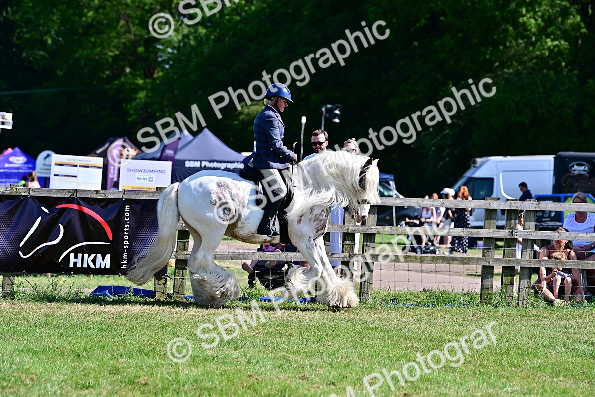 SBM_19394 - Class 101-102 - BSPS LIHS Performance Coloured Horse/Pony