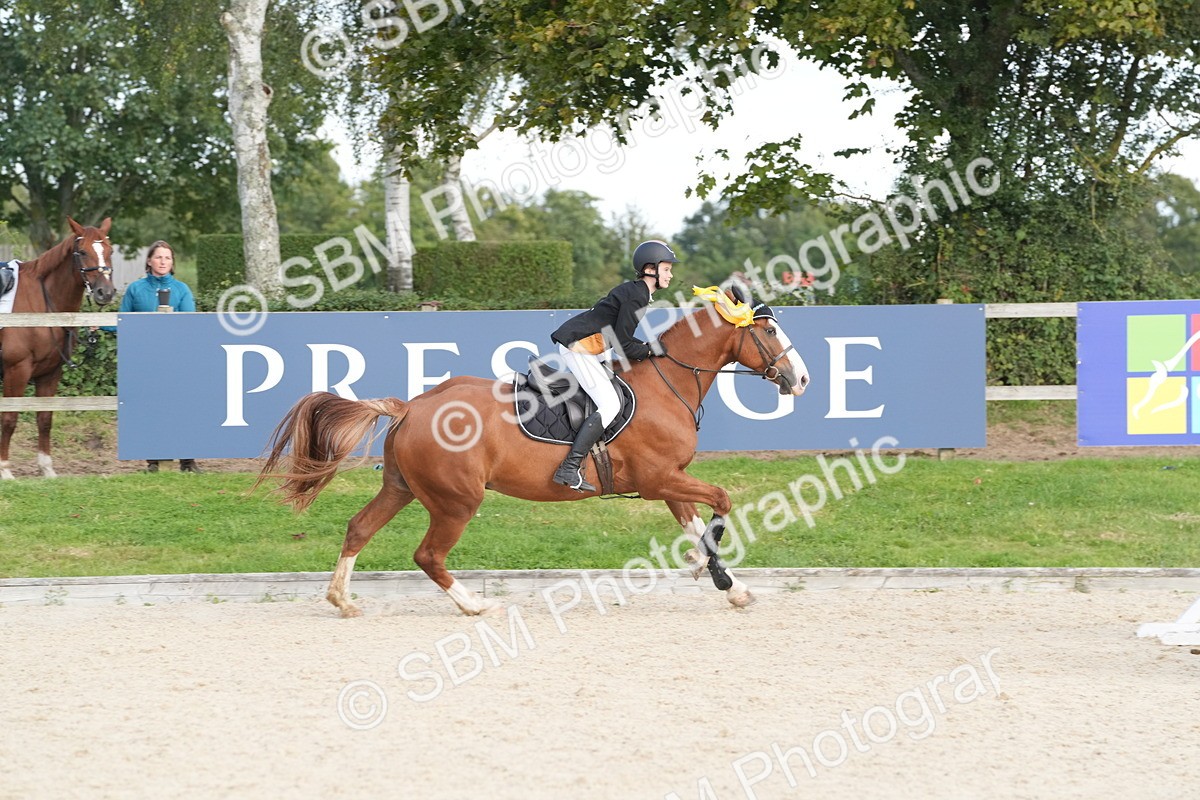 SBM_48912 - J22 - Junior Horse 65cm Championship