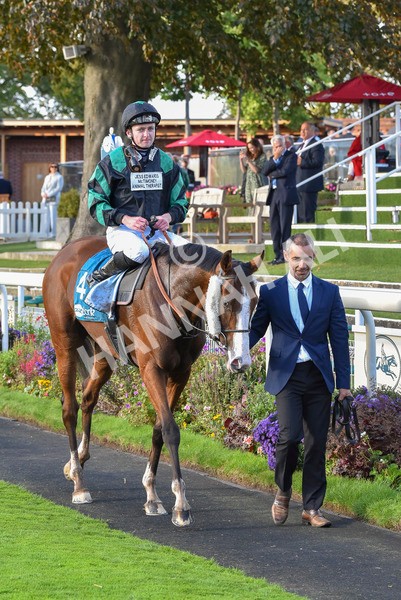 230923-Race 6-September Power-7065 - Race 6 4.55pm New To York Rio Brazilian Handicap