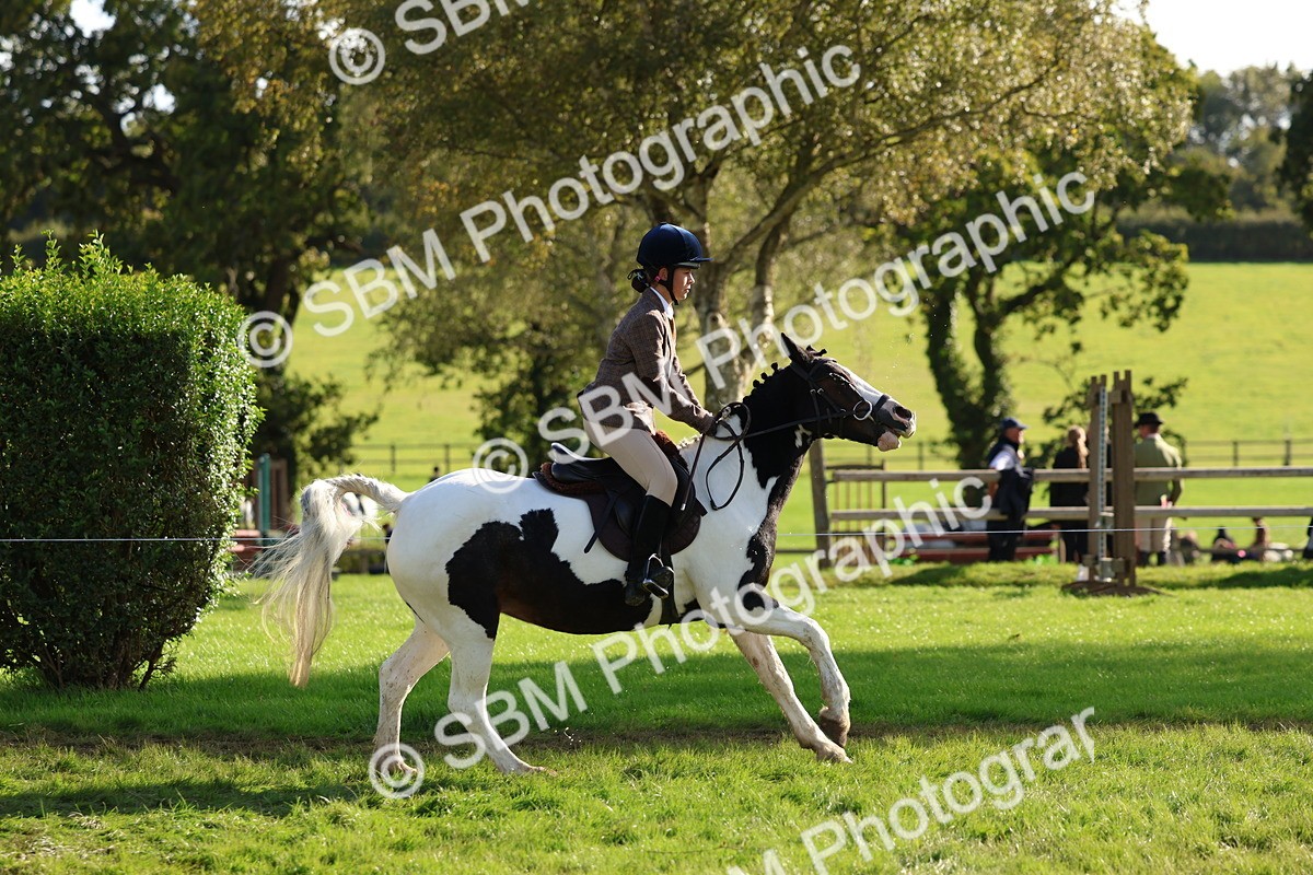 SBM_52391 - S13 - Pony Club Pony