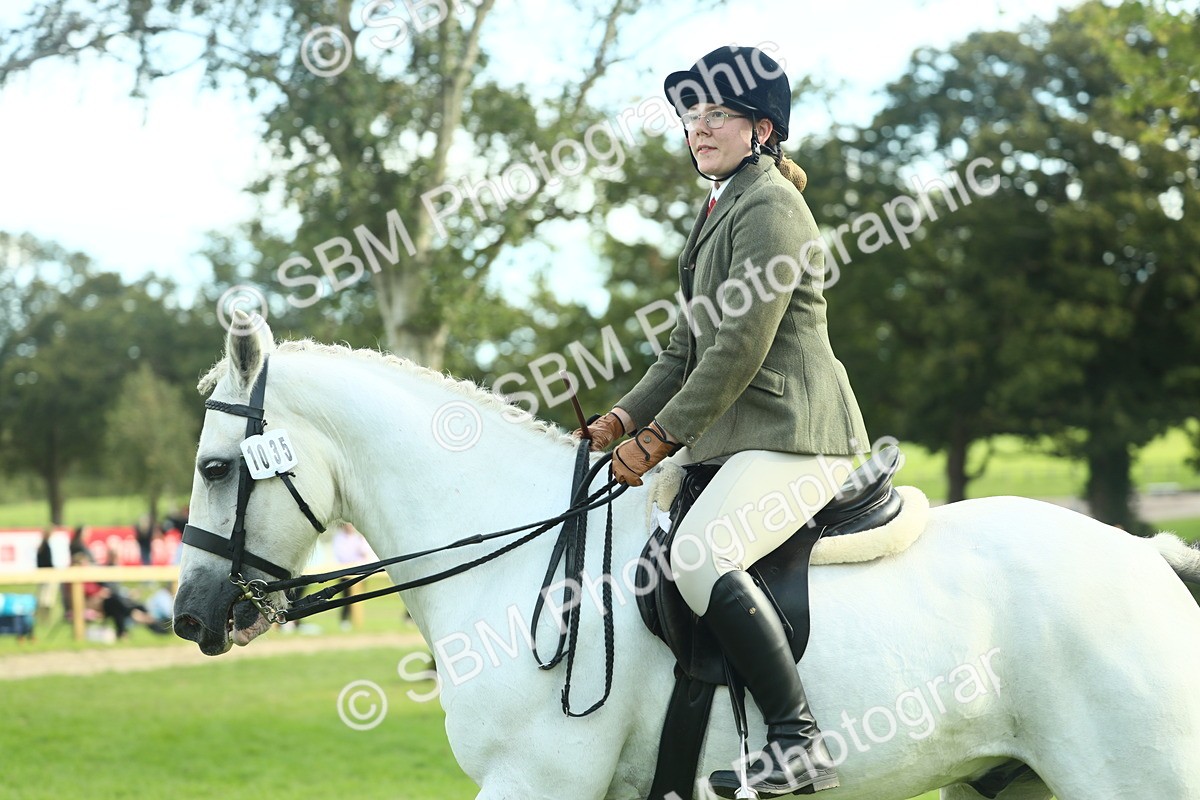 SBM_50695 - S33 - Working Hunter & Working Show Horse