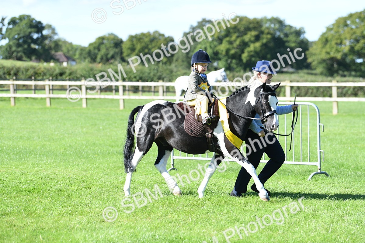 SBM_37103 - S18 - Novice & Newcomers Lead Rein Pony
