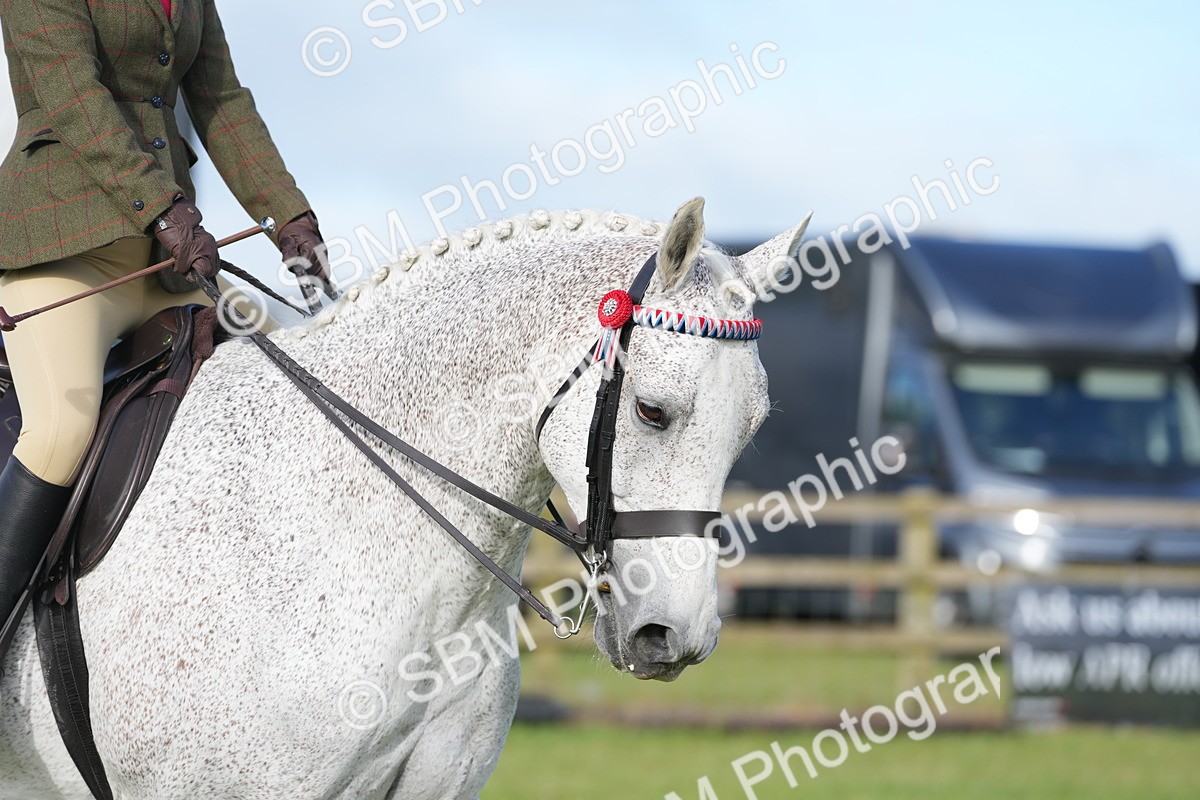 SBM_10481 - Class 97-98 - LIHS BSHA Rising Star Working Show Horse Hunter