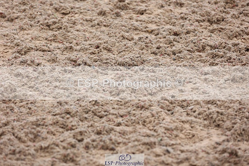 250314-123909-01935 - Cls 8+9 Foxhunter and 1.20m Open