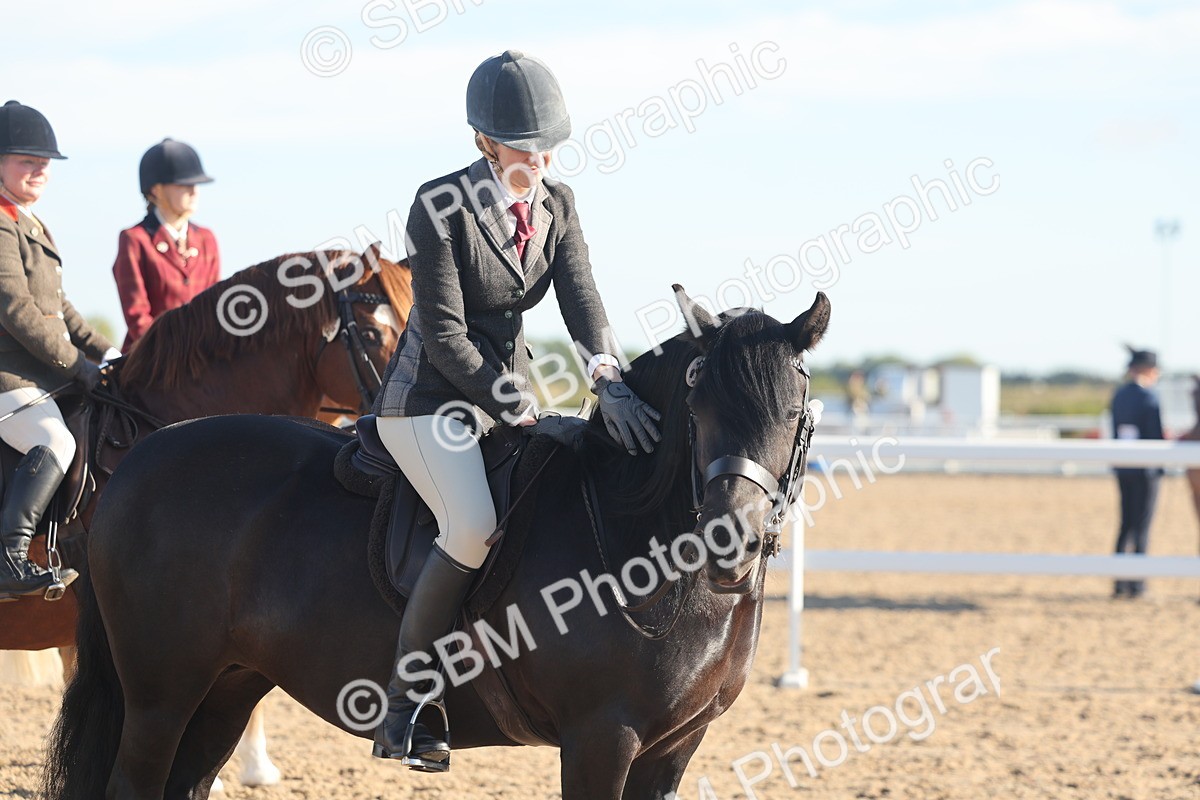 SBM_11046 - Class 302 - Ridden M&M Large Breeds