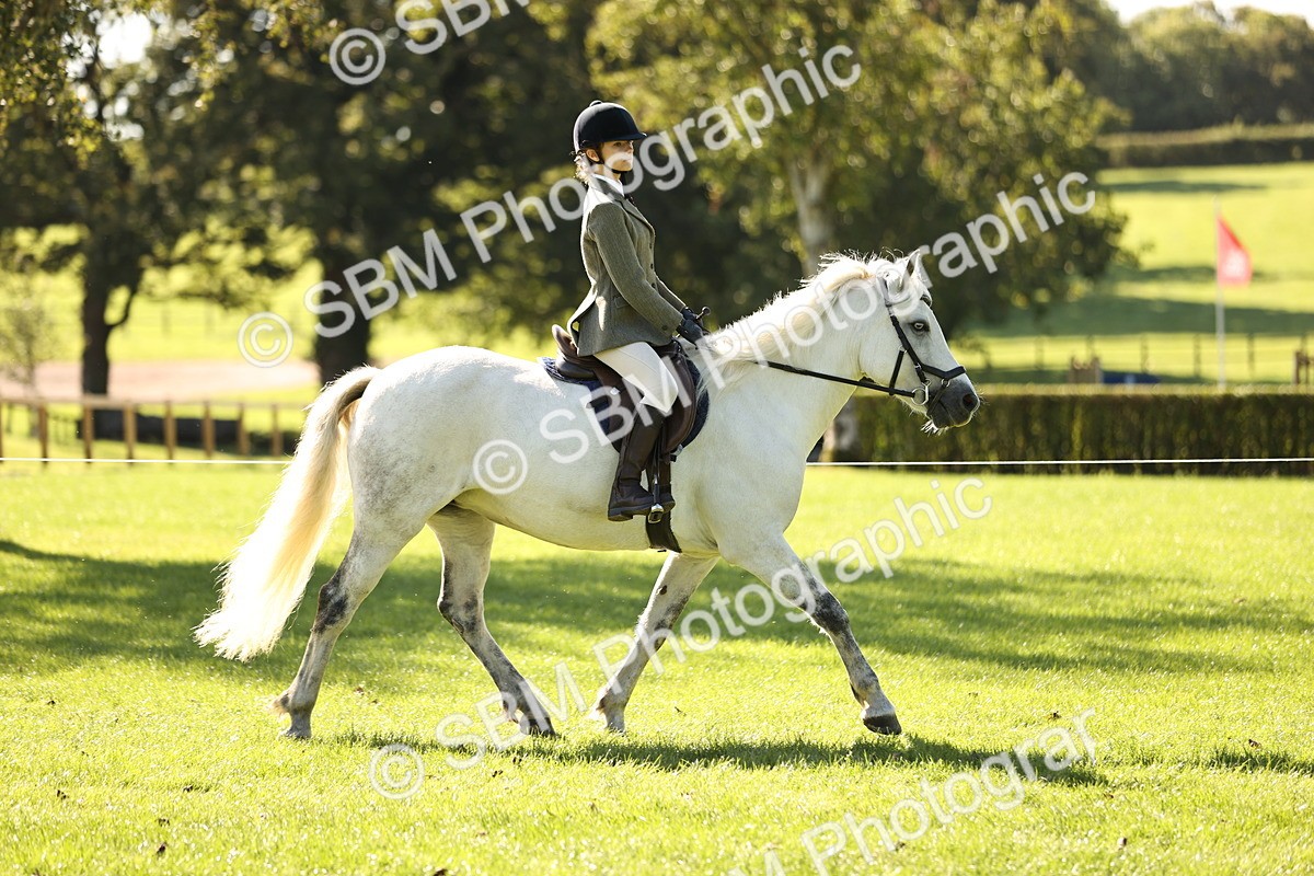 SBM_19109 - S3 - TSR Ridden Pony Showing