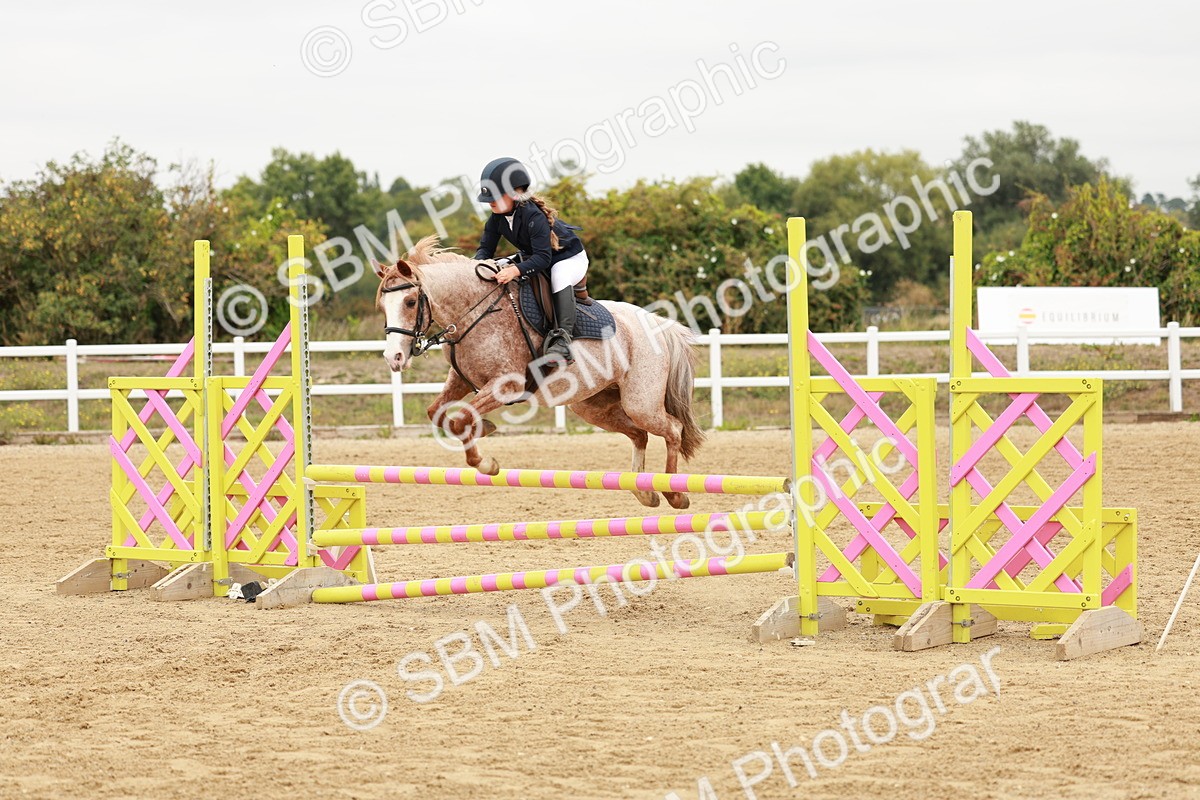 SBM_008257 - Class 5 - 80cm