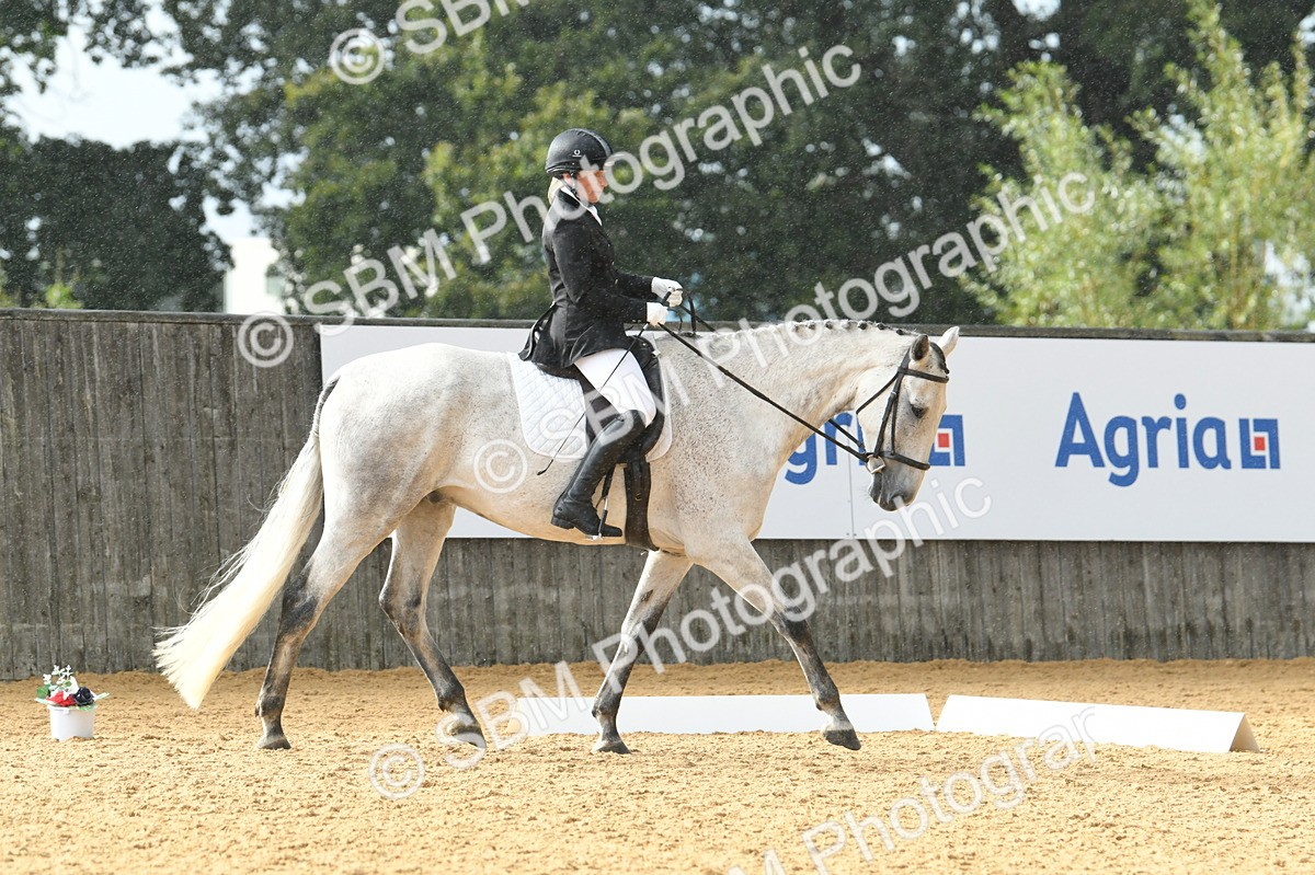 SBM_11168 - D28 Elementary Taster Elementary 42