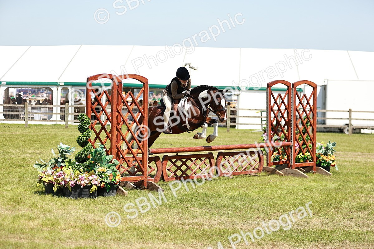 SBM_16354 - Class 110-111 - Training Stakes (70cms 80cms)