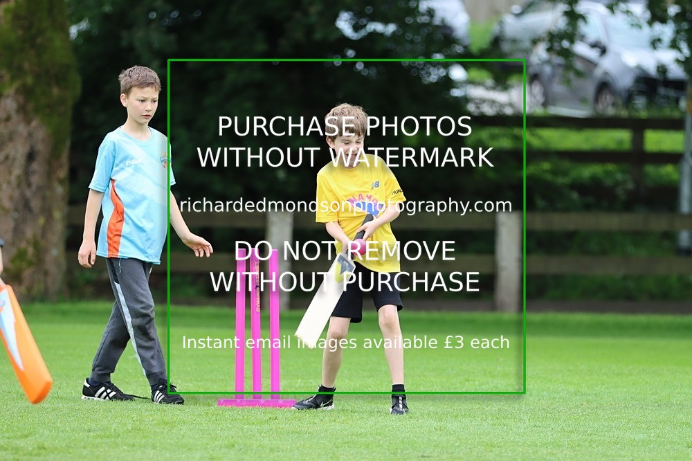 IMG_1232 - All Stars Cricket-Netherfield