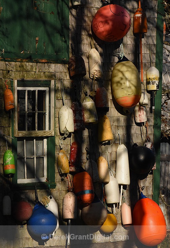 Fundy Buoys Campobello New Brunswick Canada