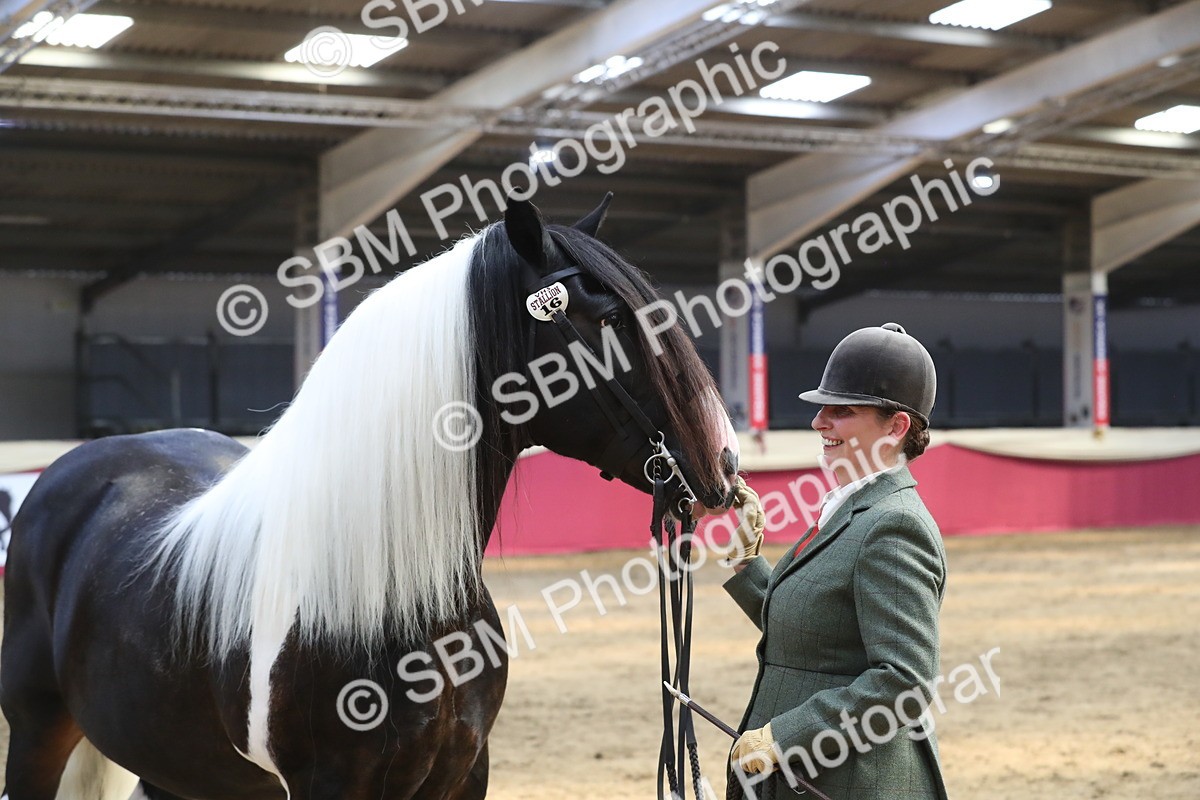 SBM_06563 - Regional IH Champ