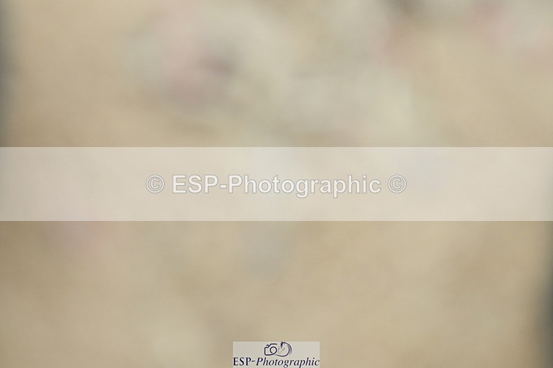 230708A-114900-01192 - Novice 23