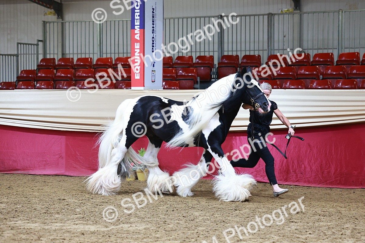 SBM_22267 - Class 902 - Supreme Final - IH Diamond