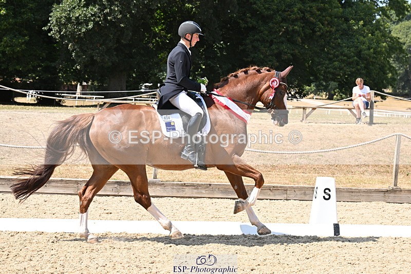 250810A-123839-06536 - Intermediate I SILVER Presentations