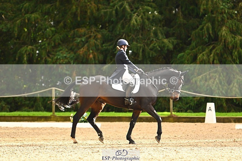 231021-153214-20885 - 259-BOSTON.IV-Rosie.Thomson-DR