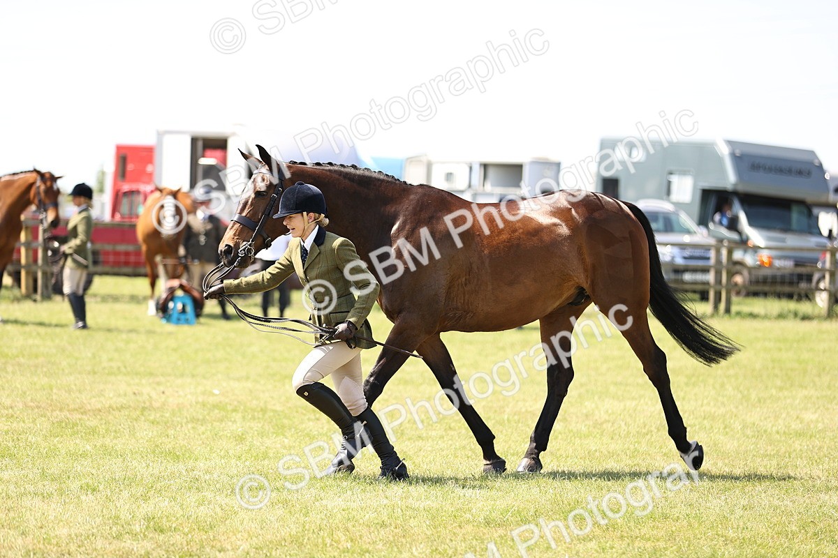 SBM_15196 - Class 79-80 - LIHS BSHA Rising Star Ridden Hunter