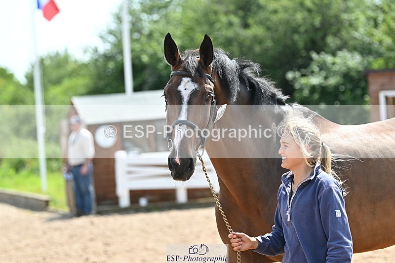 240717A-150957-02599 - Trot Up 3pm to 4pm